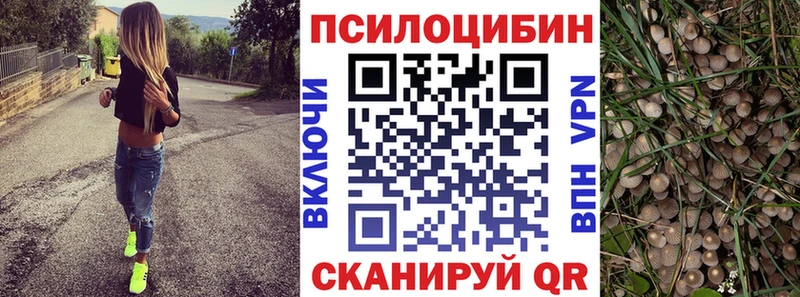 как найти закладки  Дедовск  Псилоцибиновые грибы Cubensis 